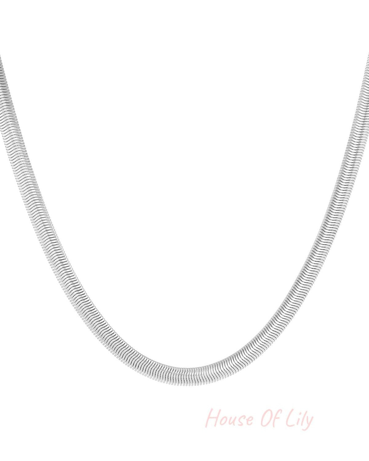 Close-up image of a silver flat chain necklace with the same smooth, flexible design displayed on a white background