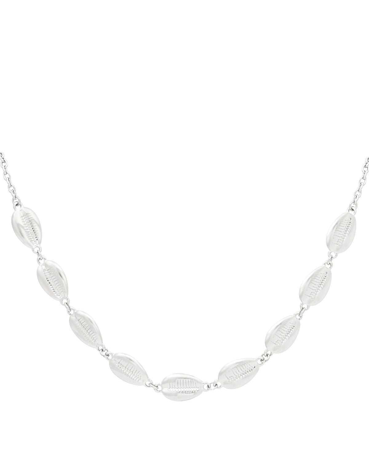 Close-up of shell-shaped silver chain necklace links on white background