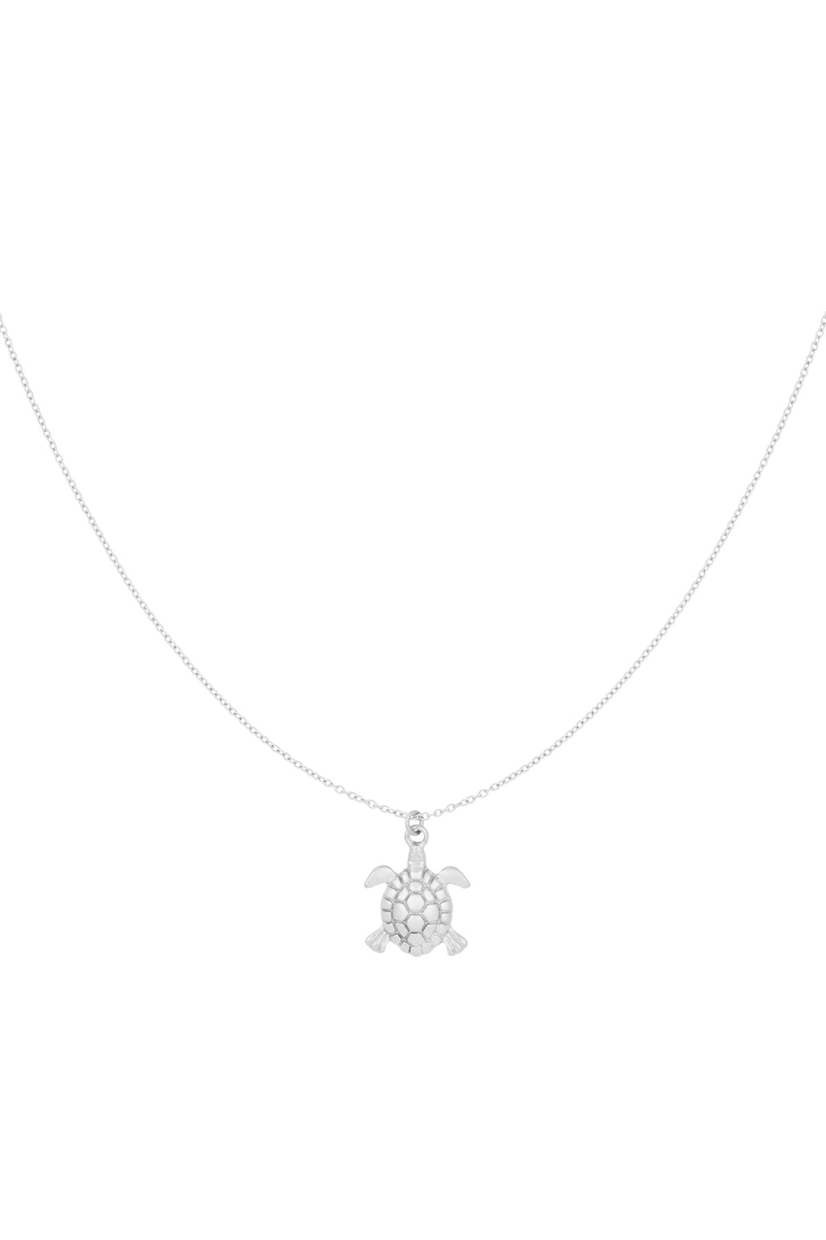 Silver turtle charm pendant necklace on a delicate chain displayed on white background