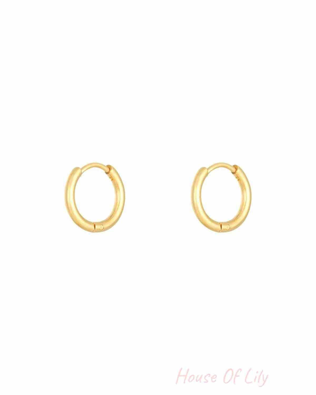 Pair of shiny gold stainless steel hoop earrings with smooth finish and hinged clasps on white background