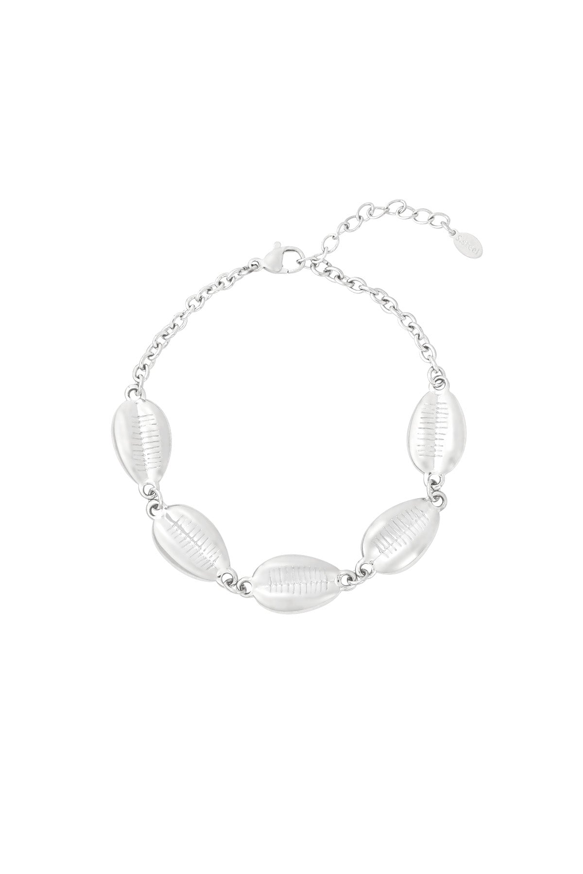 Silver-tone shell charm bracelet with adjustable lobster clasp against a white background, showing polished shells and fine chain design
