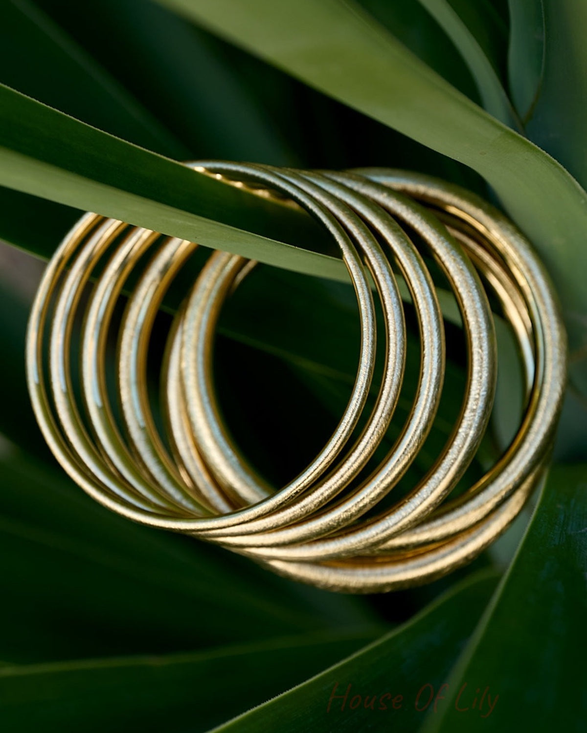 Stack of circular gold bangles with a brushed matte finish, resting on green tropical leaves.