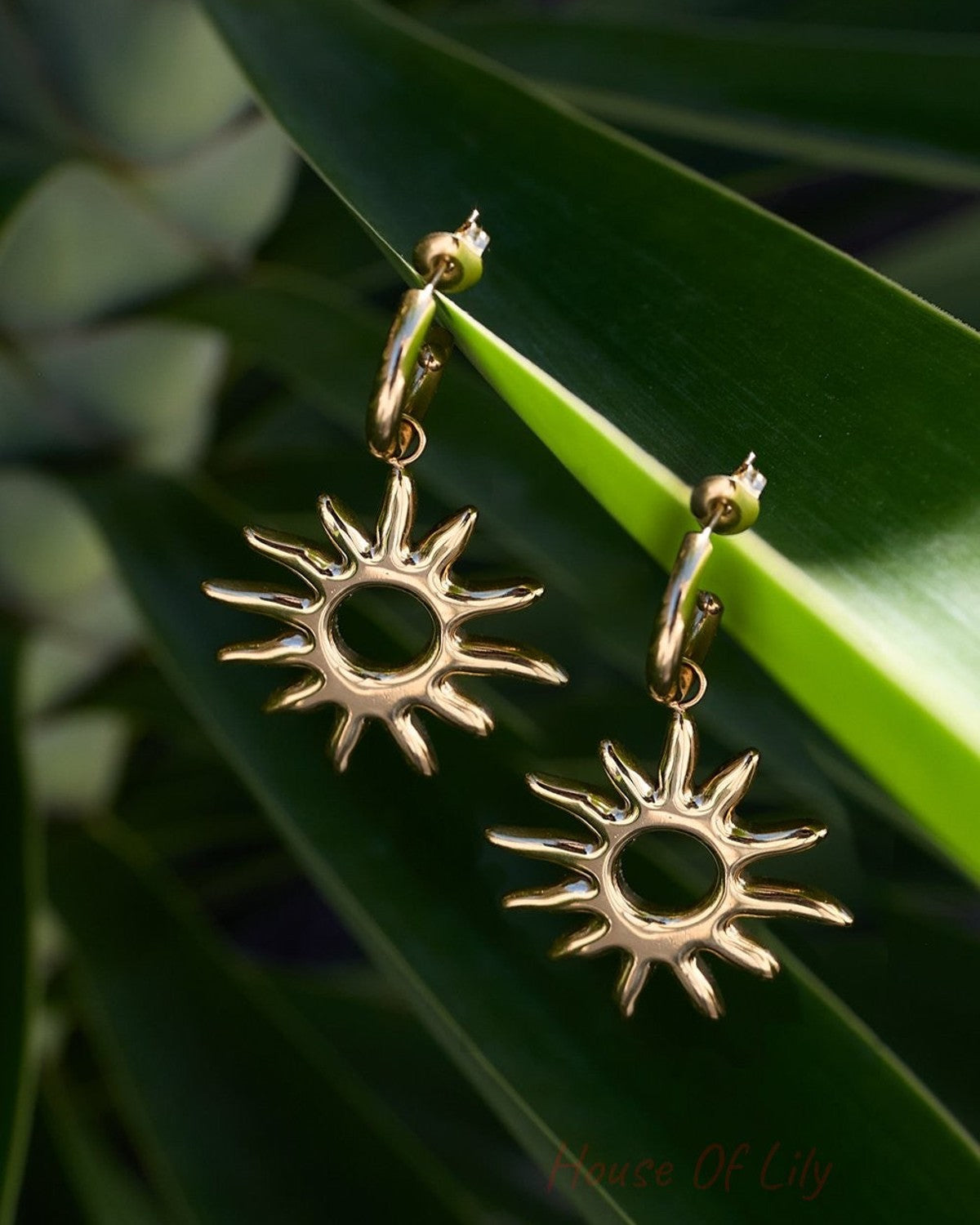 Golden Hour Glow Drops: Gold hoop earrings featuring polished sunburst charms resting on a vibrant green leaf.