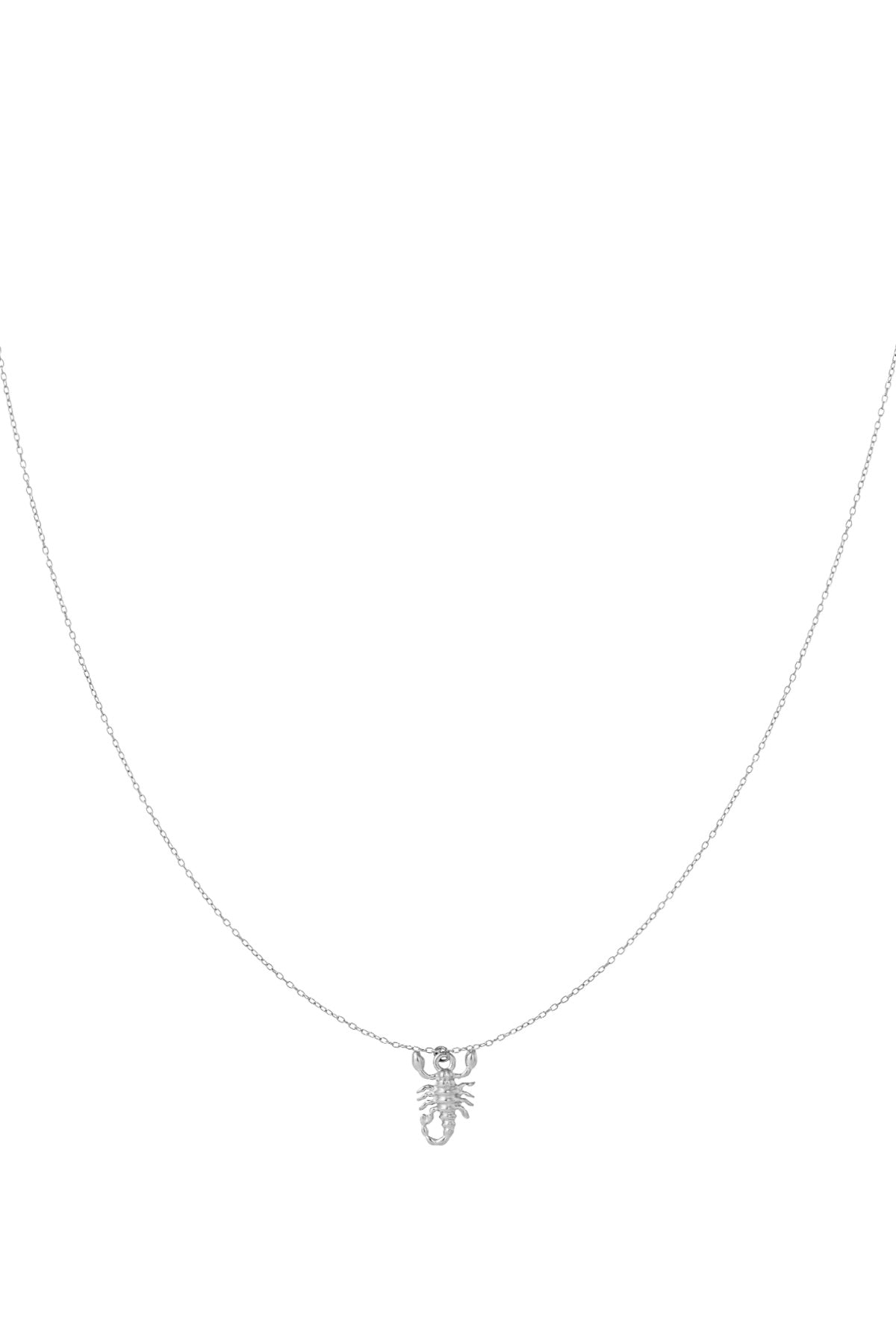 Silver Scorpio scorpion charm necklace on white background