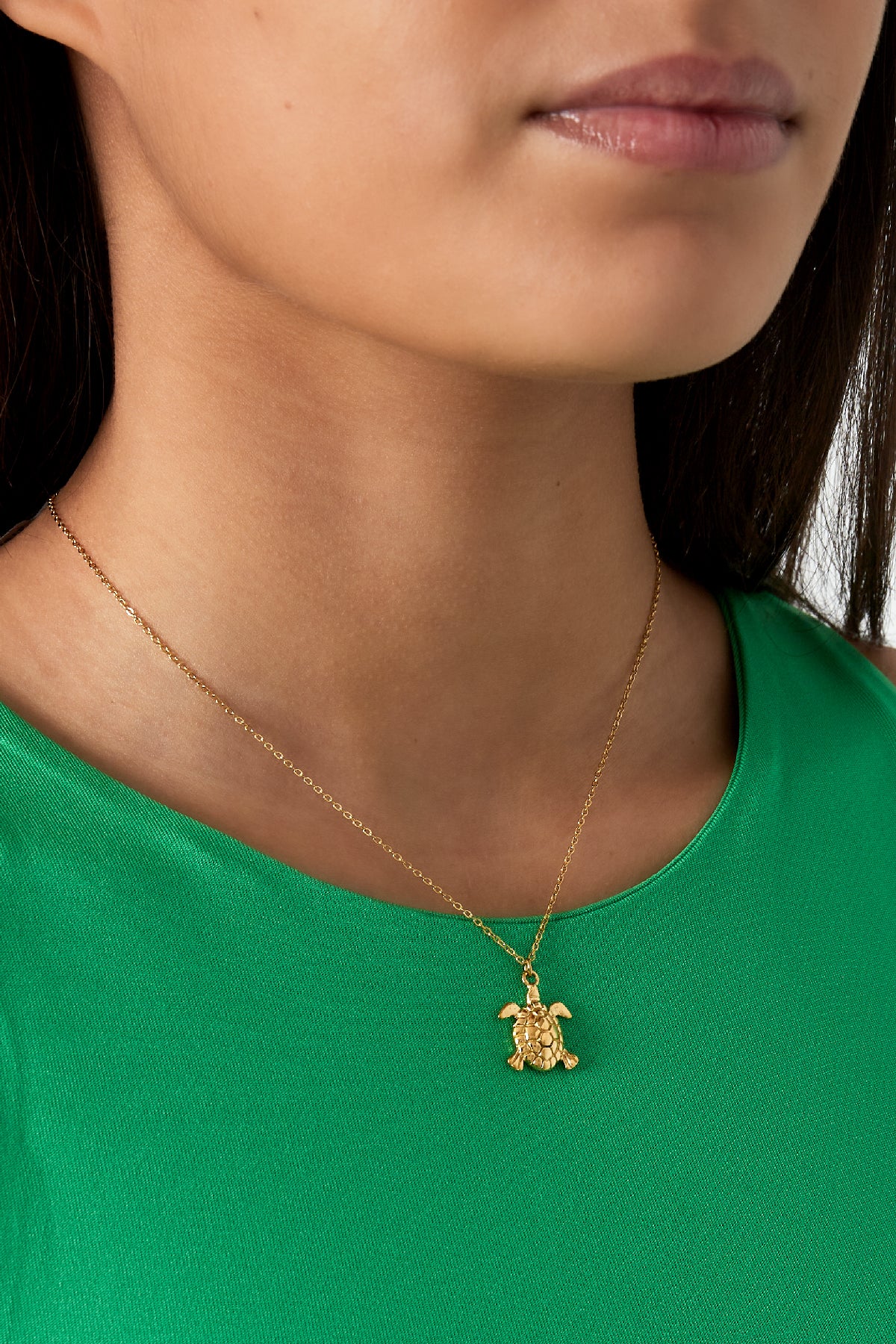 Model wearing gold turtle pendant necklace with green top, close-up of neck and lips