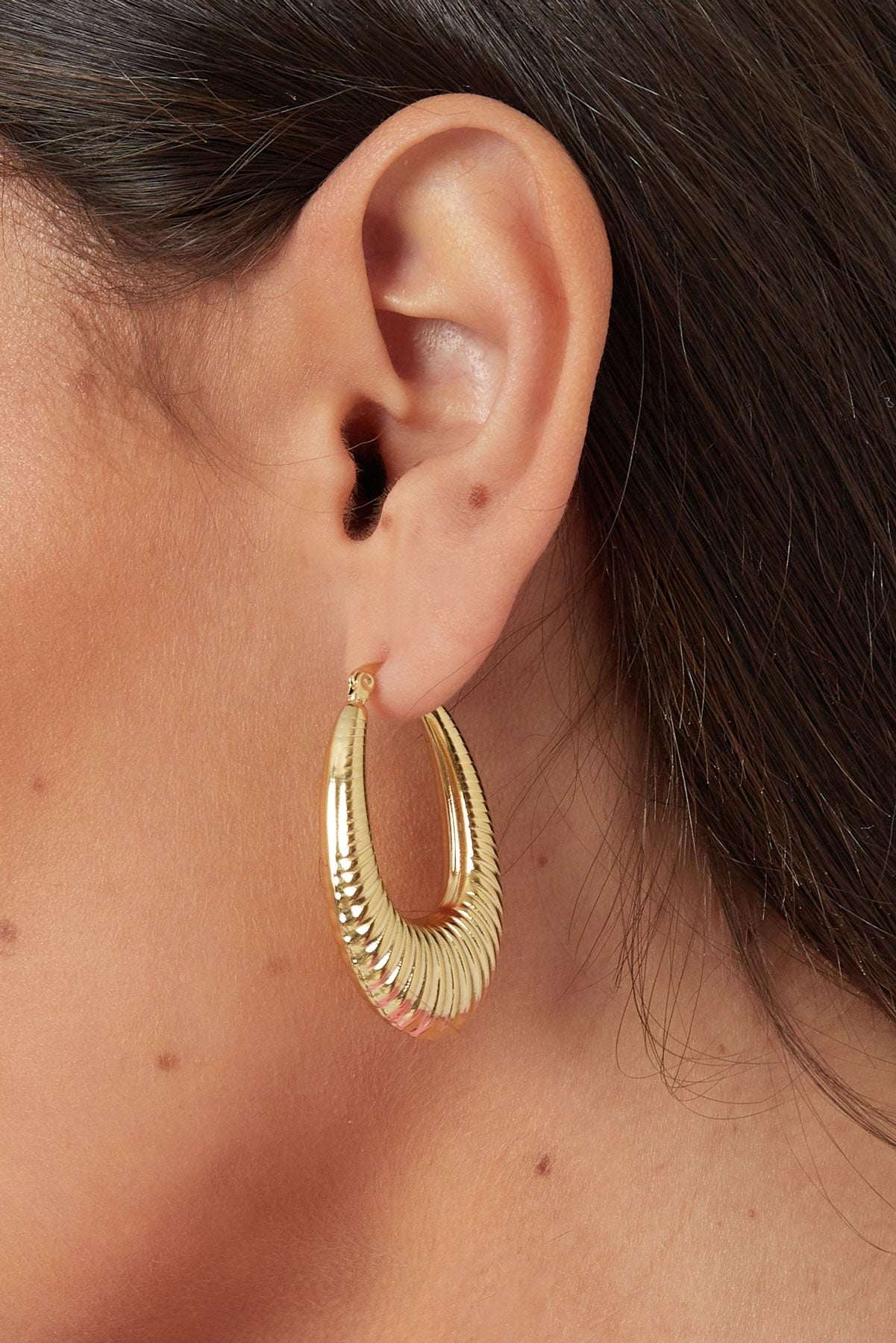 stainless steel geometric oval earrings
