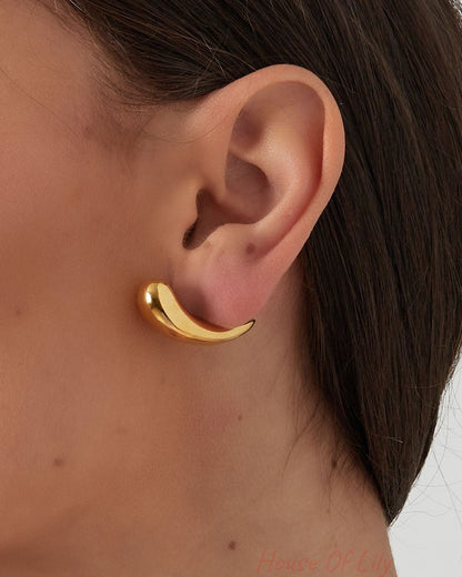 stripe earrings