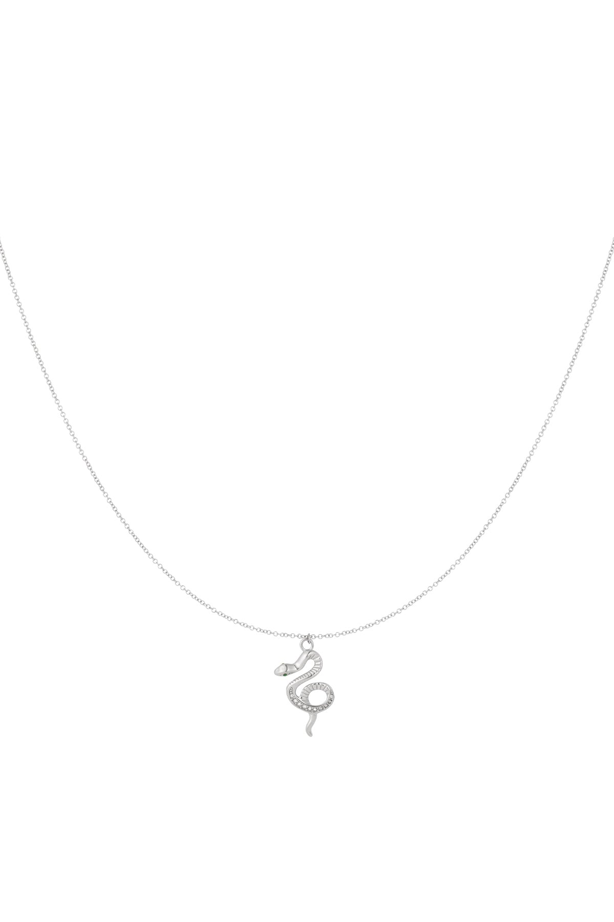 Silver snake pendant necklace on white background