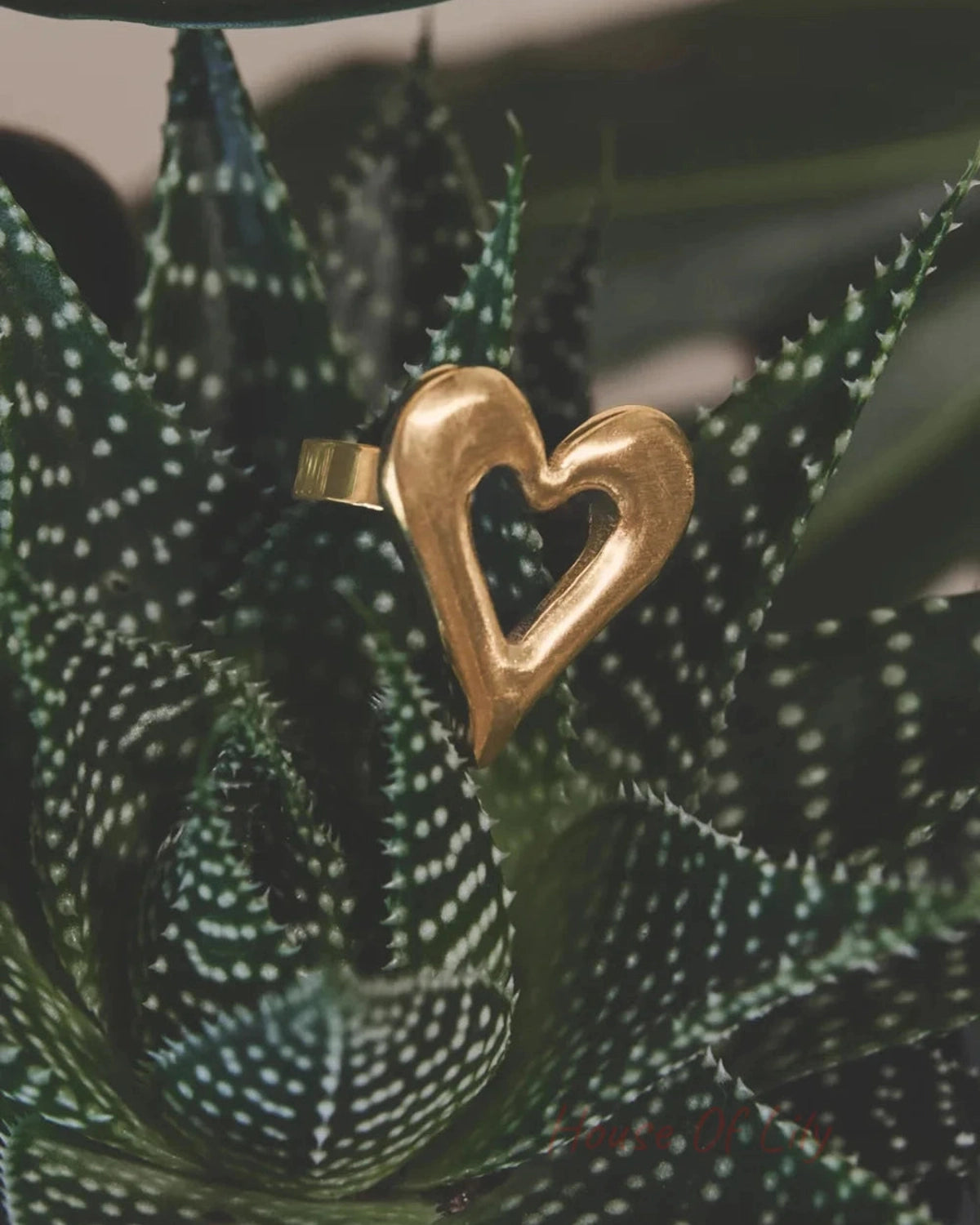 Gold heart-shaped statement ring resting on a spotted green succulent plant.