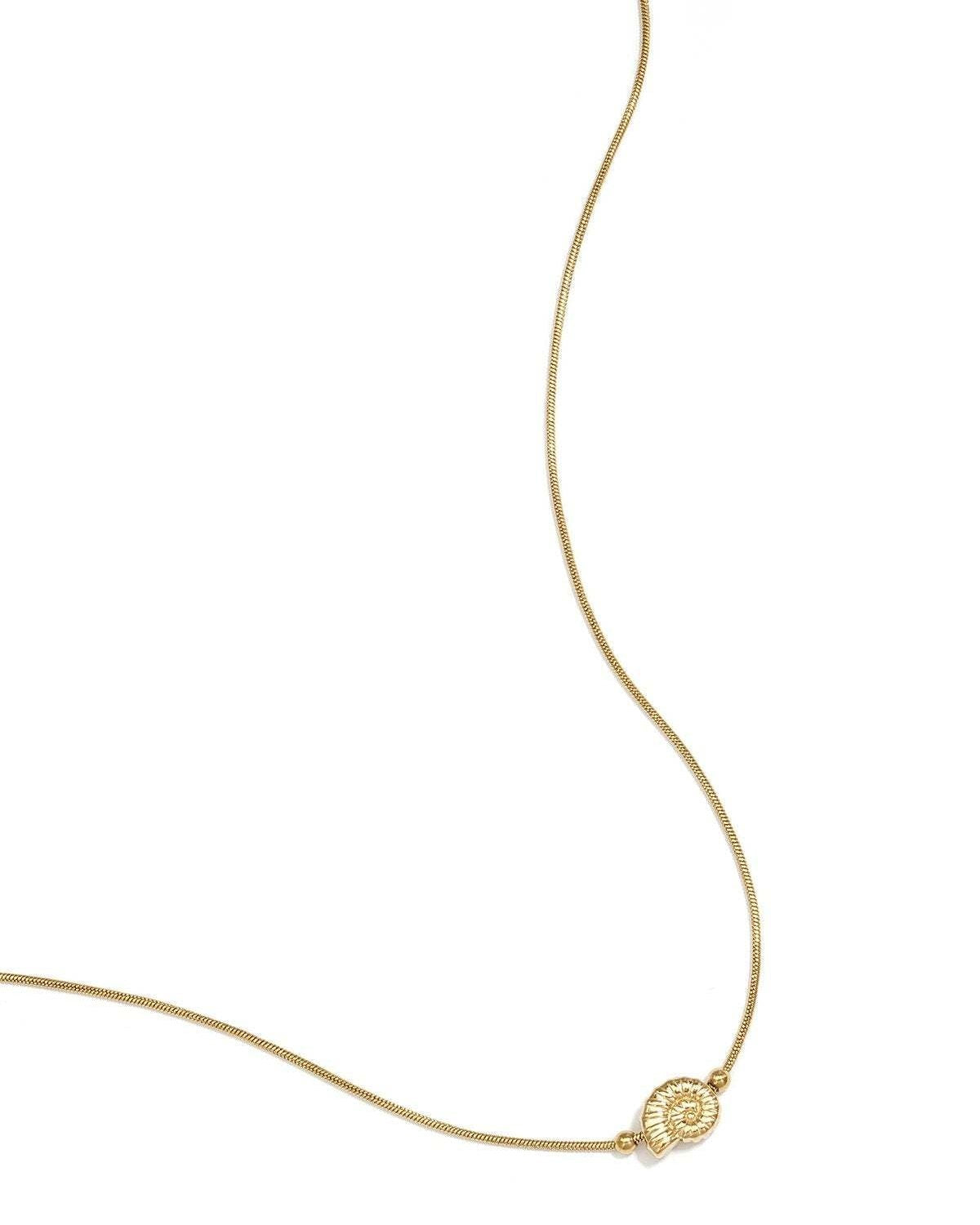 Minimalist necklace with small spiral shell