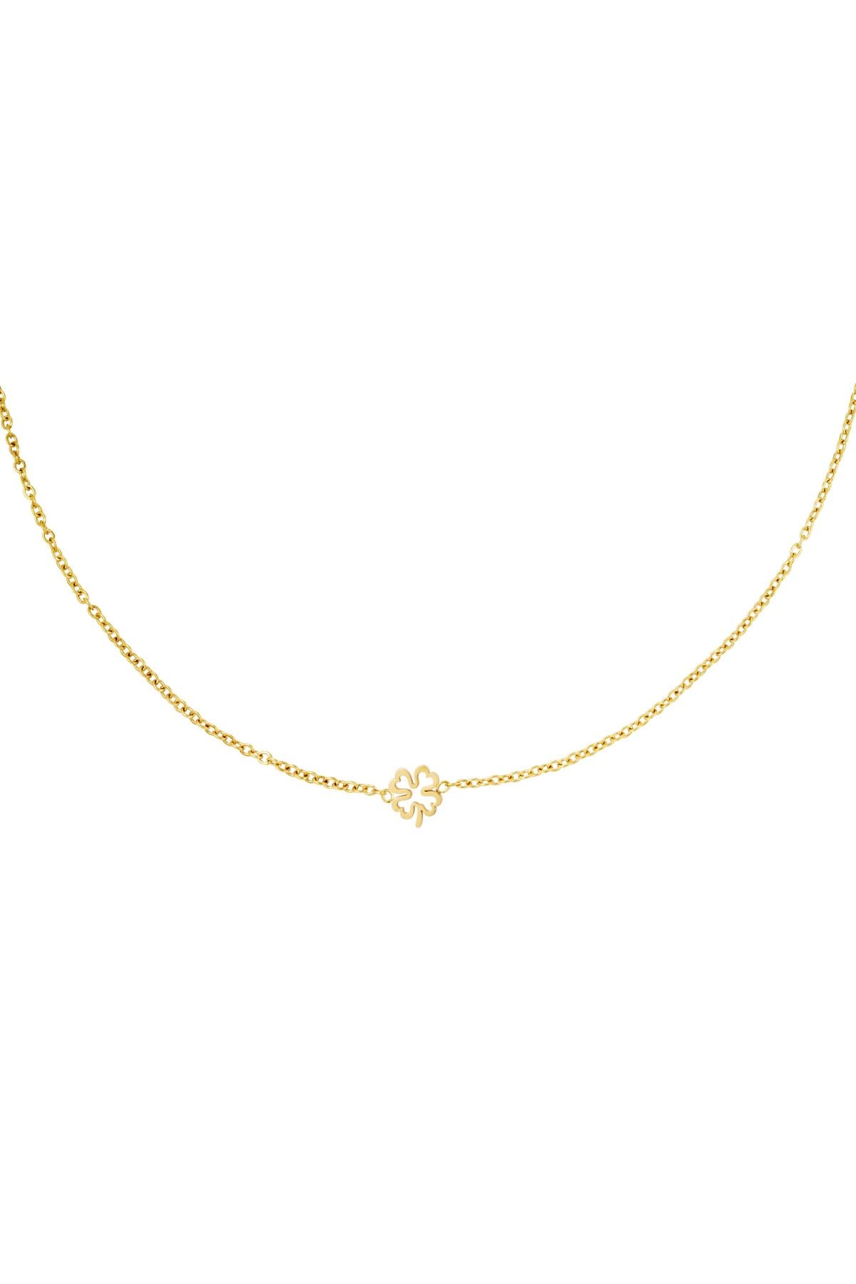 Gold stainless steel necklace with a delicate open four-leaf clover pendant on a fine chain against white background