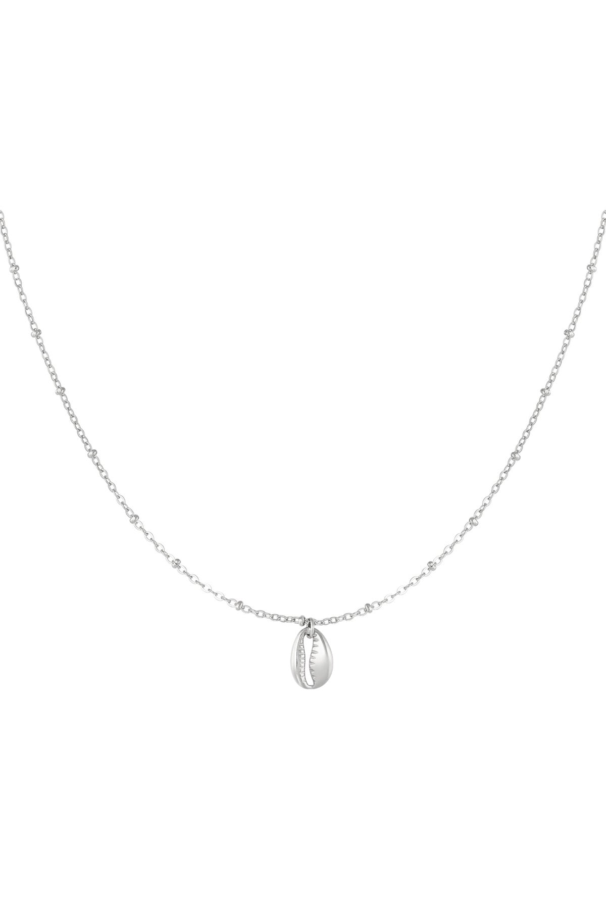 link chain with shell