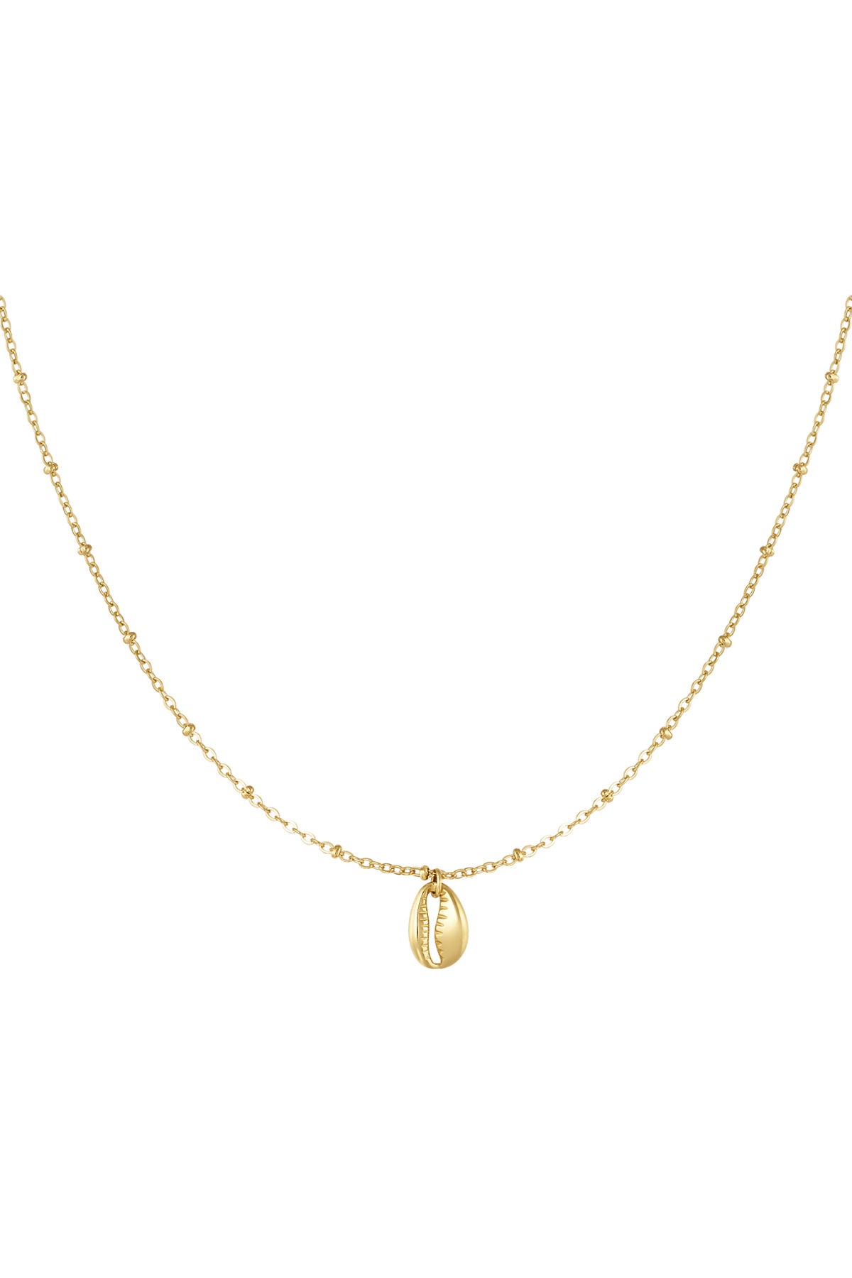 link chain with shell