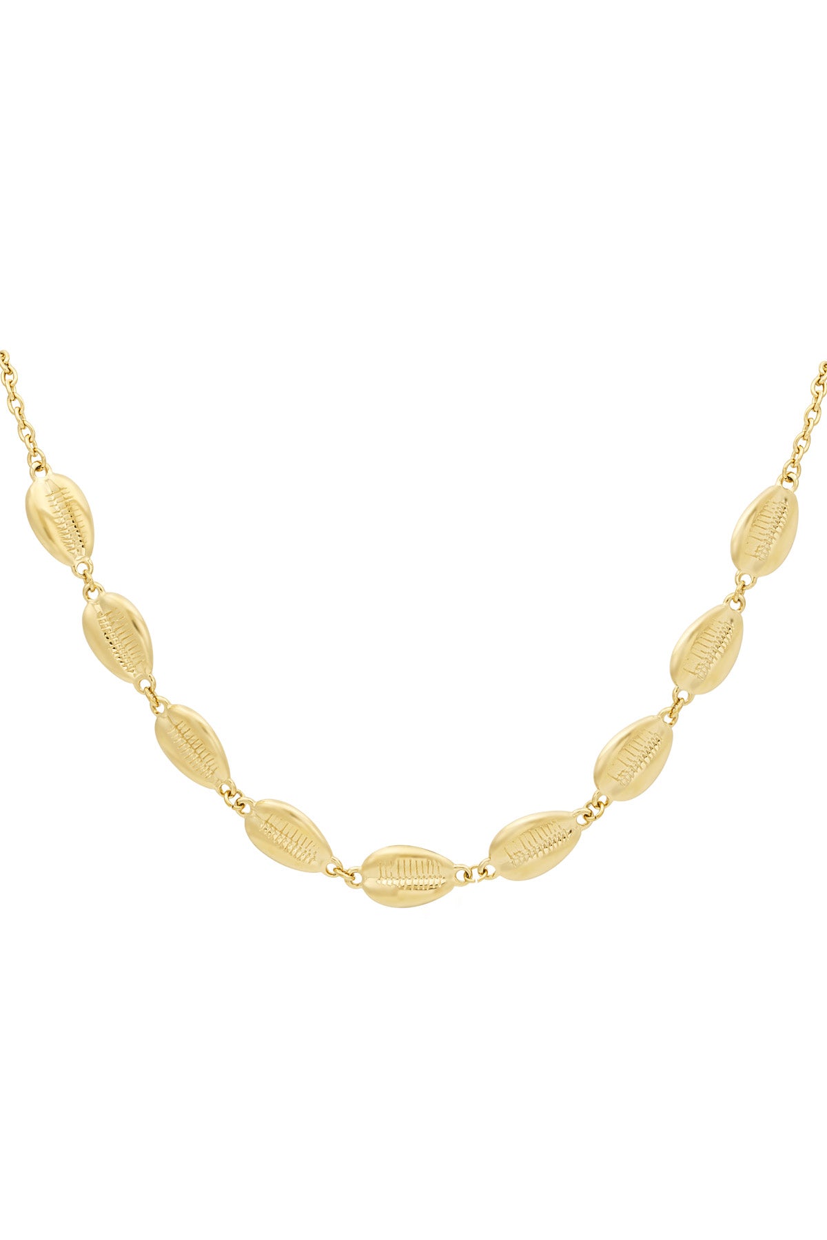 Close-up of shell-shaped gold chain necklace links on white background