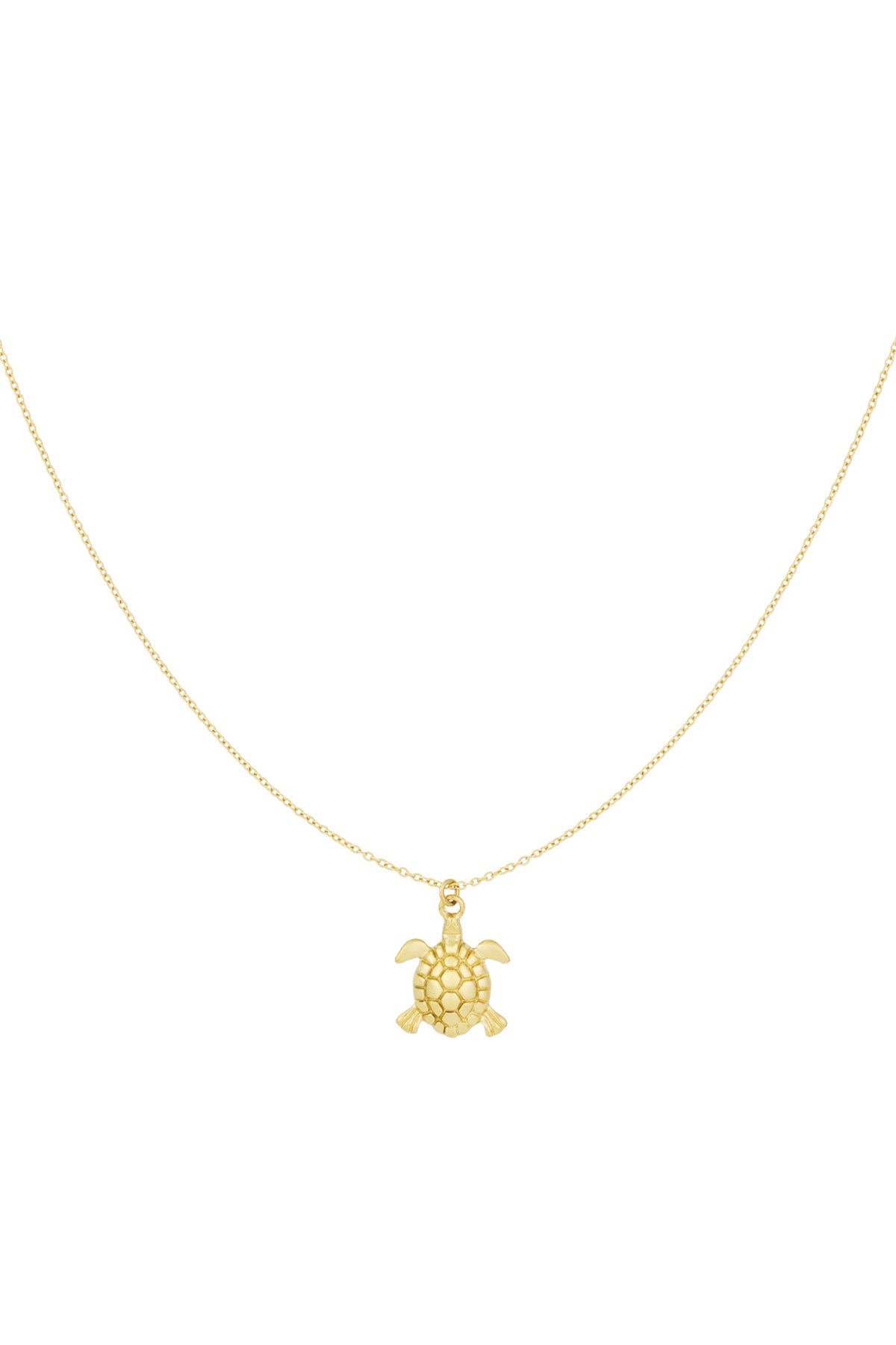 Gold turtle charm pendant necklace on a fine chain displayed on white background