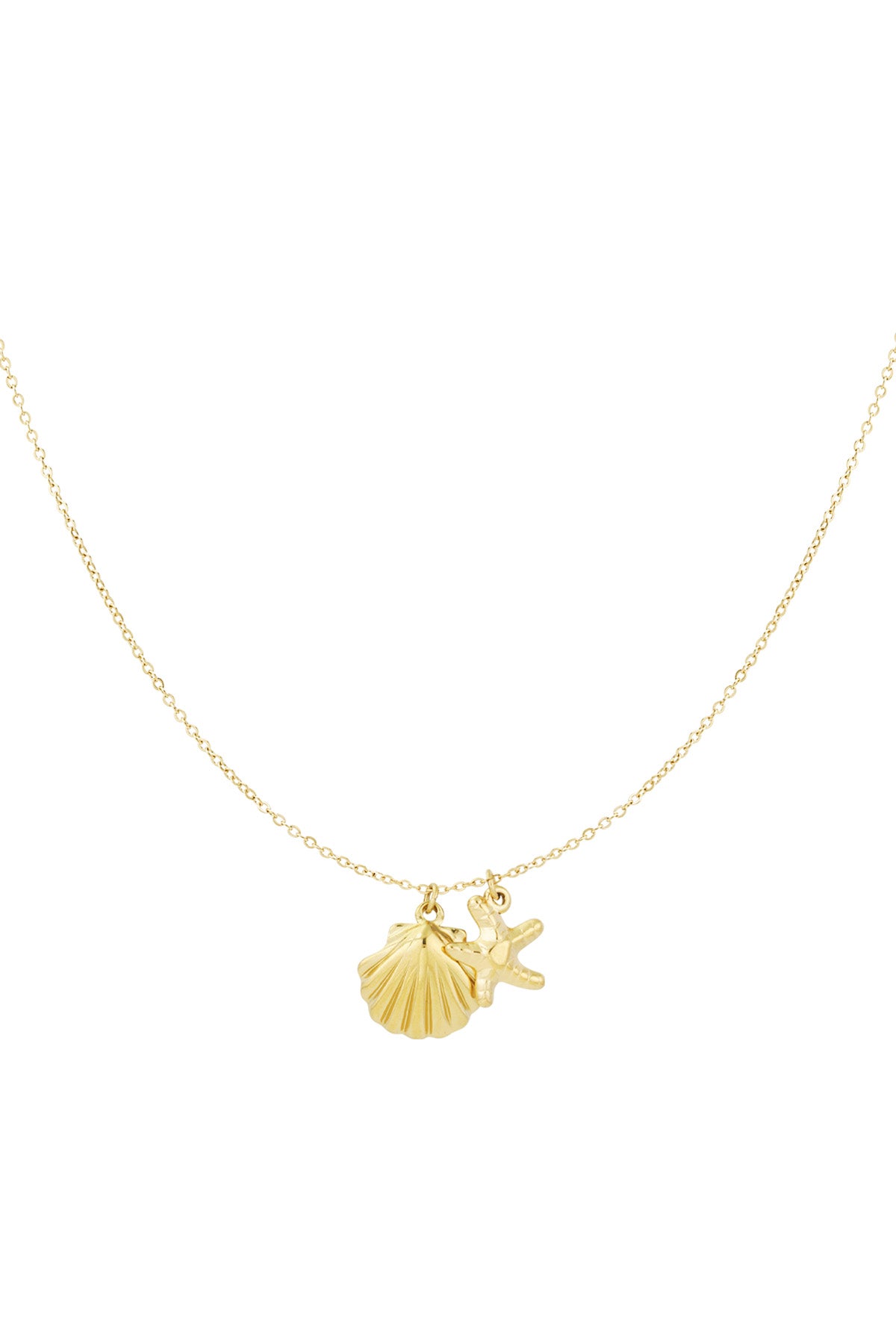 Gold pendant necklace with starfish and scallop shell charms on a delicate chain, isolated on white background