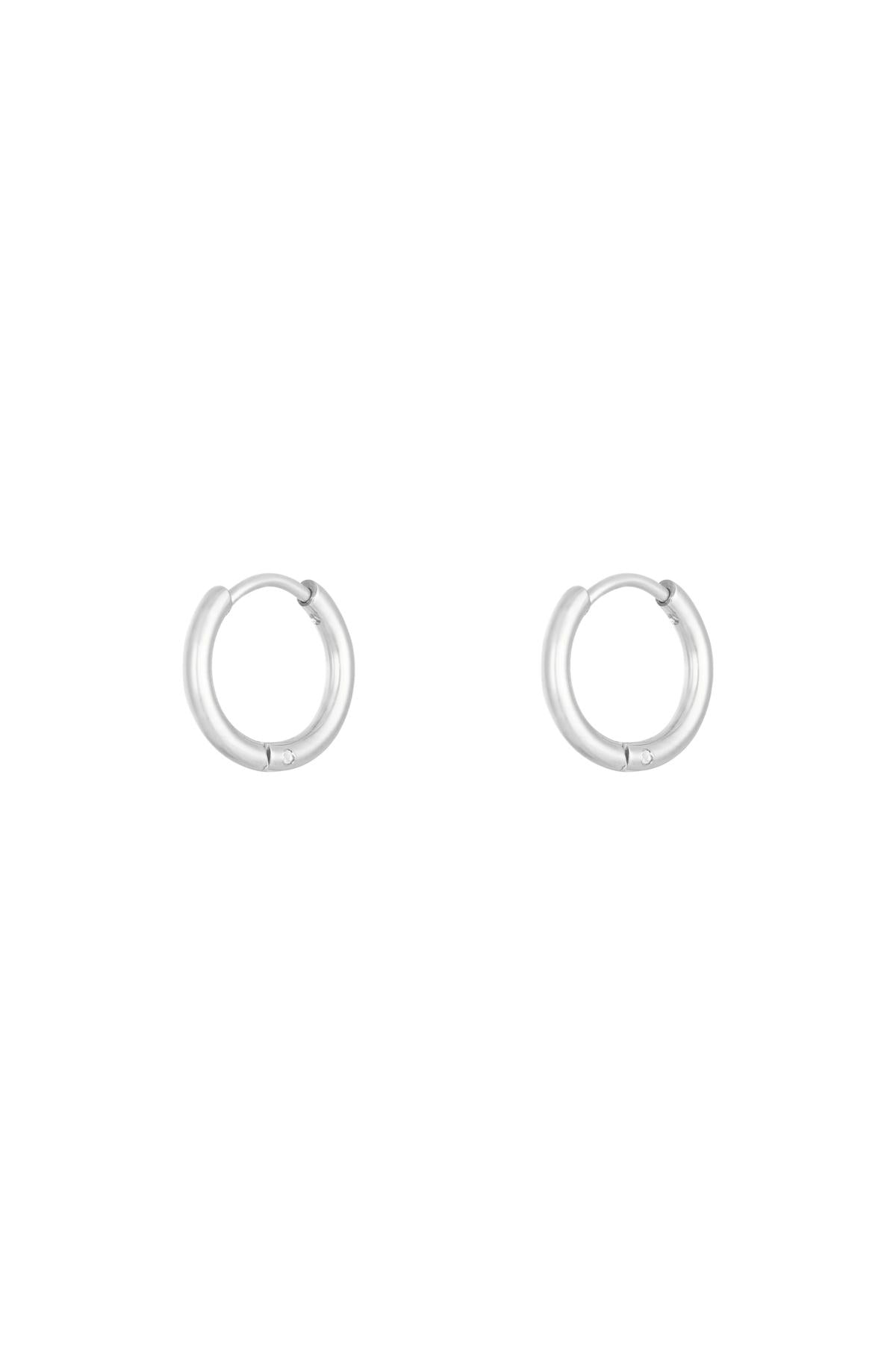Pair of sleek silver stainless steel hoop earrings with hinged clasps on white background