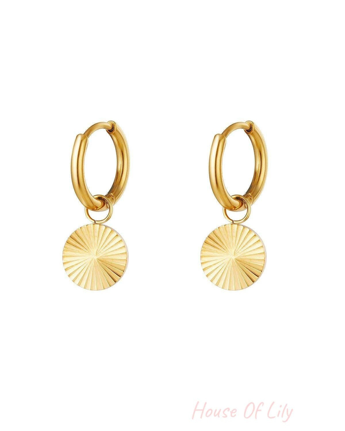 stainless steel earrings circle 