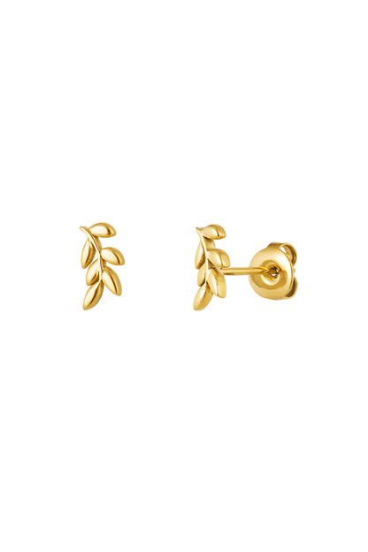 Close-up of gold-tone leaf design stud earrings with push-back closure on white background