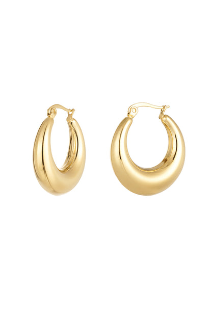 Stylish Stainless Steel Hoop Earrings - Silver & Gold