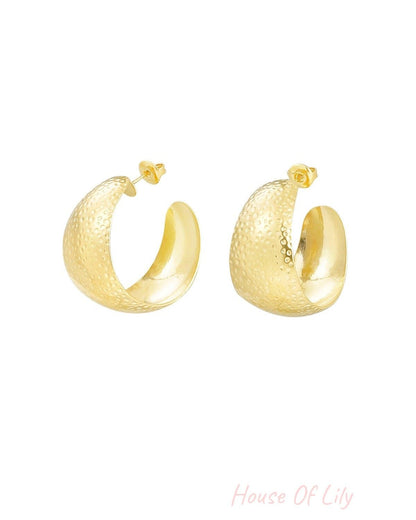Earrings moon relief - Silver Color color