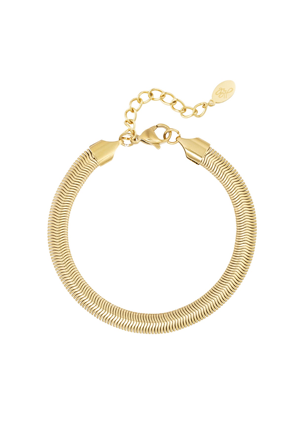 Close-up of sleek gold chain bracelet with lobster clasp and extender