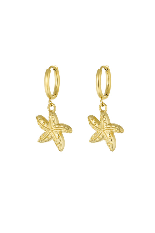 earrings special starfish