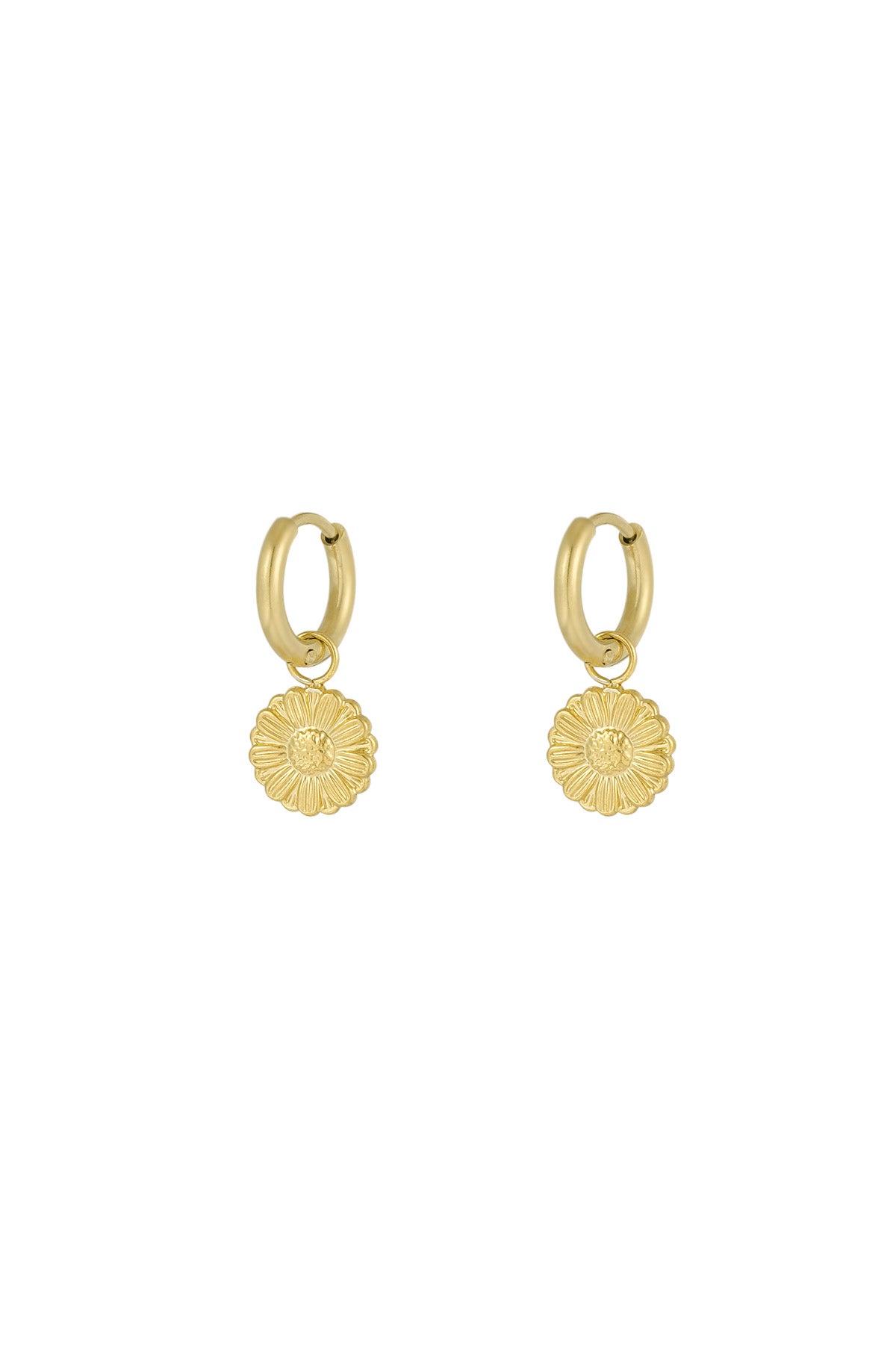 Gold hoop earrings with delicate daisy flower charms on a white background
