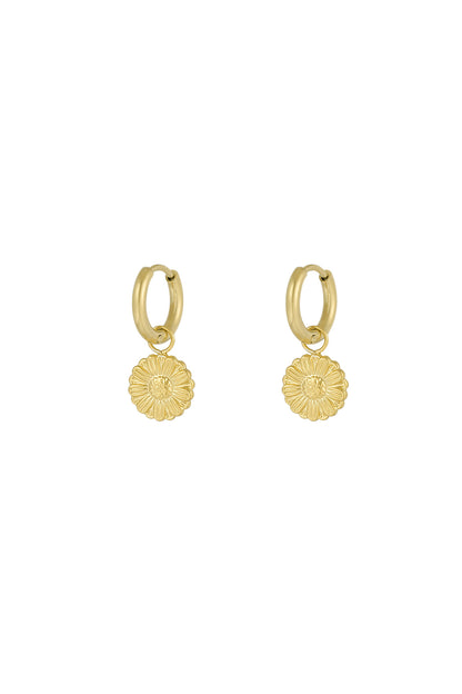 Gold hoop earrings with delicate daisy flower charms on a white background
