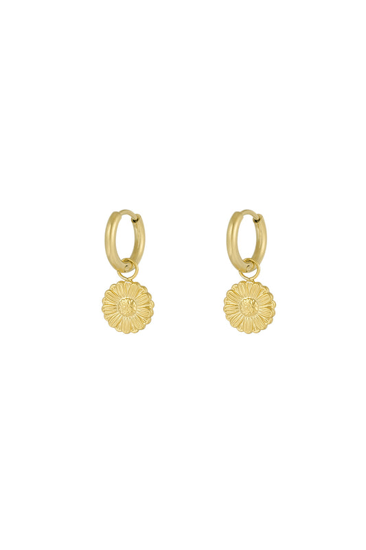 Gold hoop earrings with delicate daisy flower charms on a white background