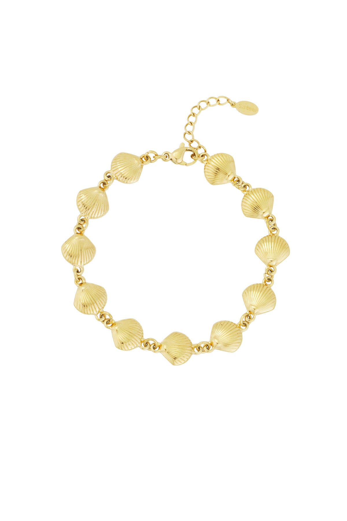 Close-up of gold plated seashell charm bracelet with adjustable chain clasp.