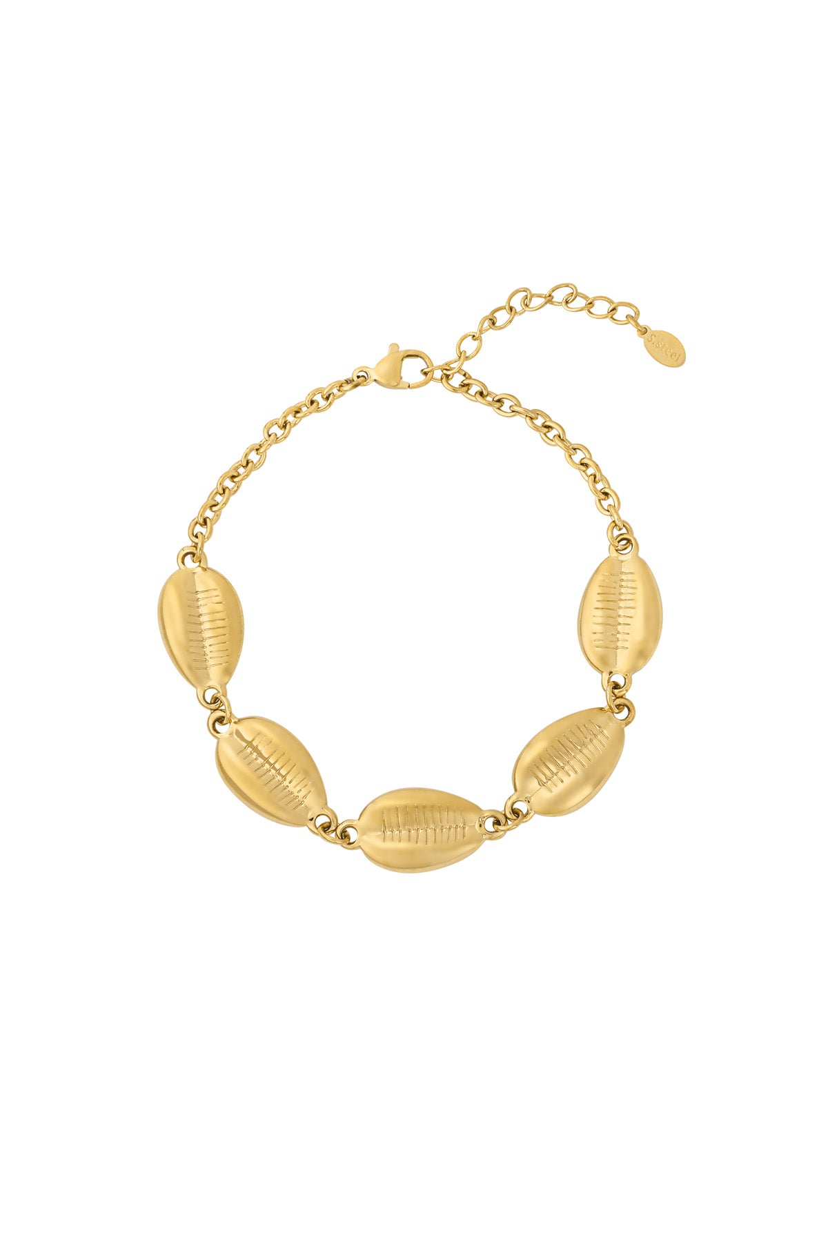 Gold-tone stainless steel bracelet featuring five detailed cowrie shell-shaped charms linked by a fine chain against a white background