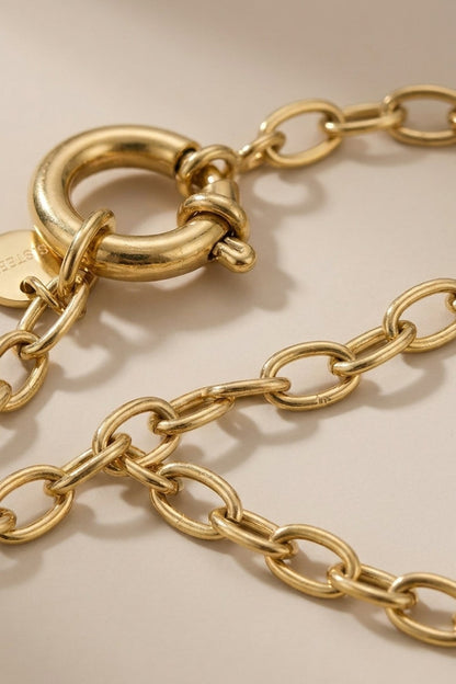 Chained Gold Everyday gold-colored link necklace with a spring-ring clasp.