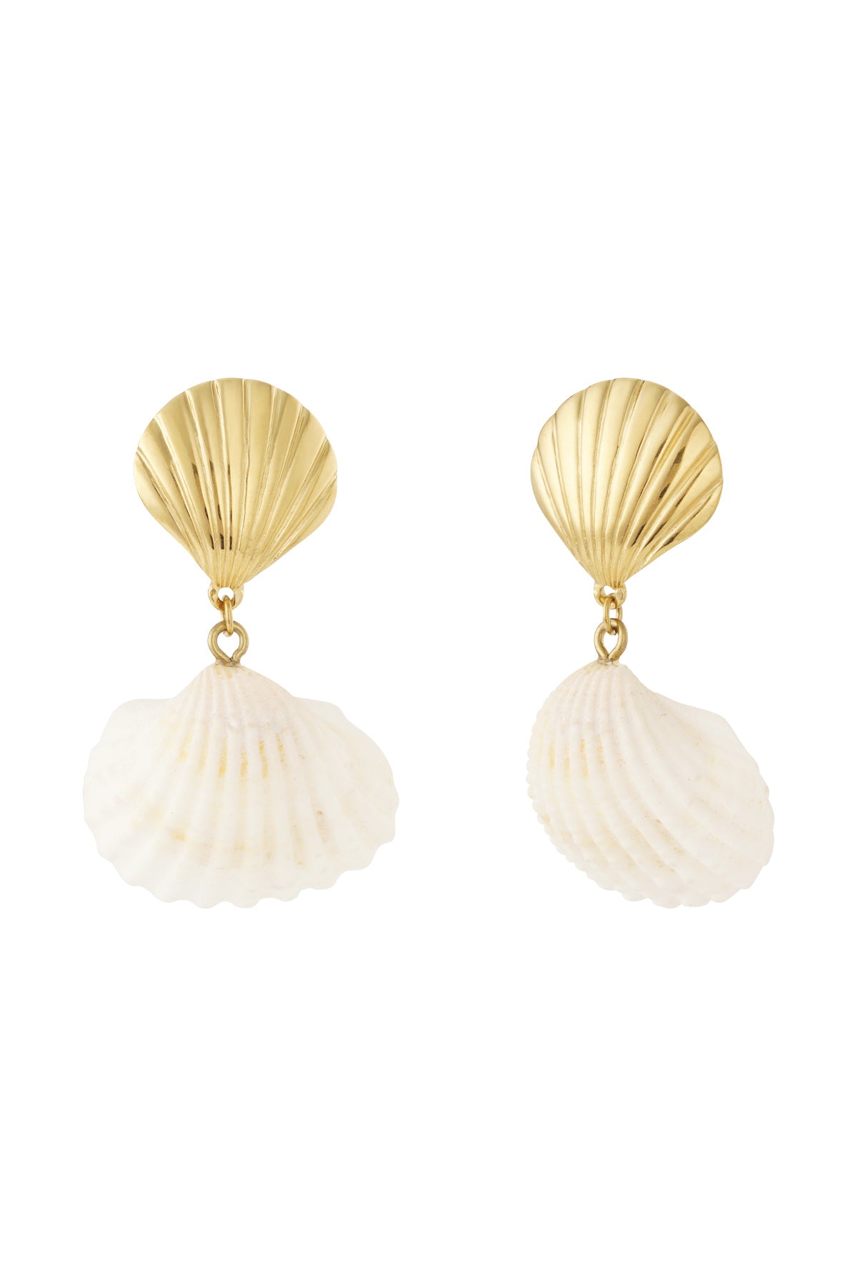Pair of gold-toned seashell drop earrings with natural white seashell pendants displayed on white background