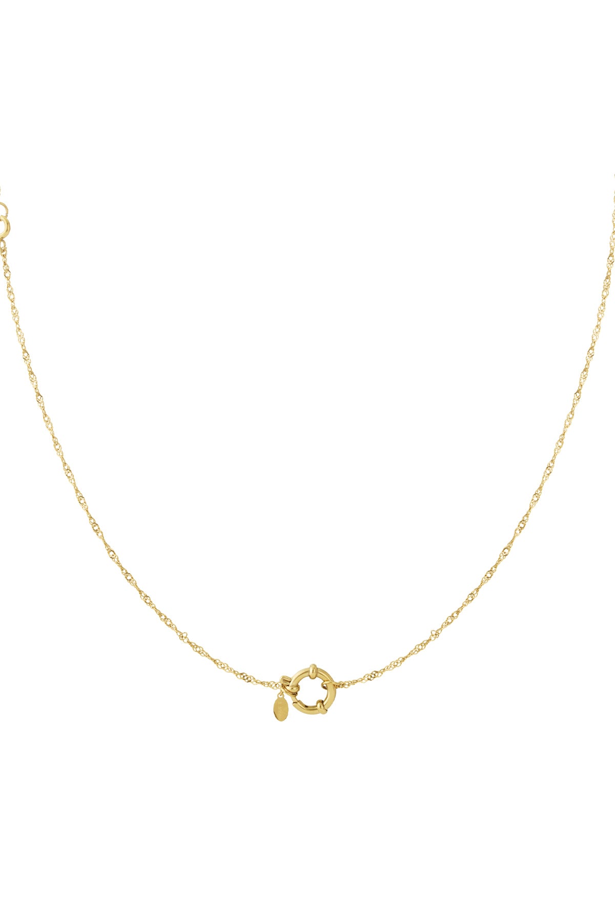 Close-up of delicate gold chain necklace with round spring ring clasp