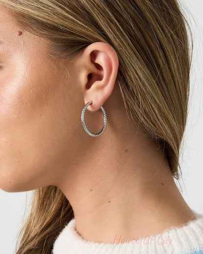Stainless Steel Hoop Earrings Circle Simple Daily Simple Series Women's jewelry