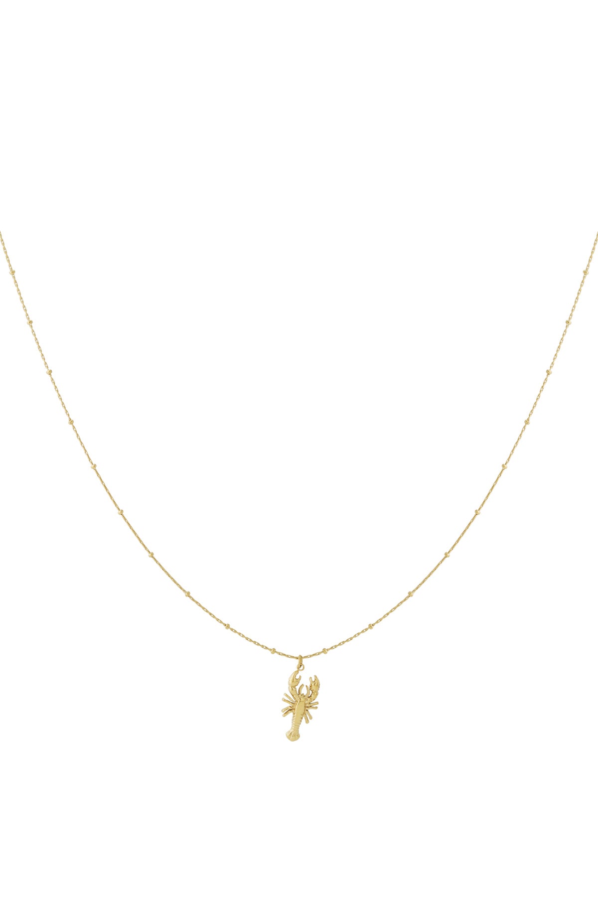 Gold delicate lobster pendant necklace on a thin beaded chain isolated on white background