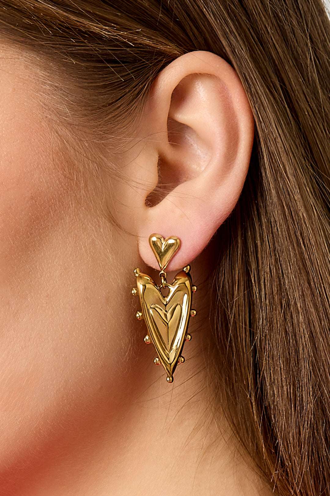 Stainless Steel Drop Earrings Heart Casual Daily Simple Series Women's jewelry