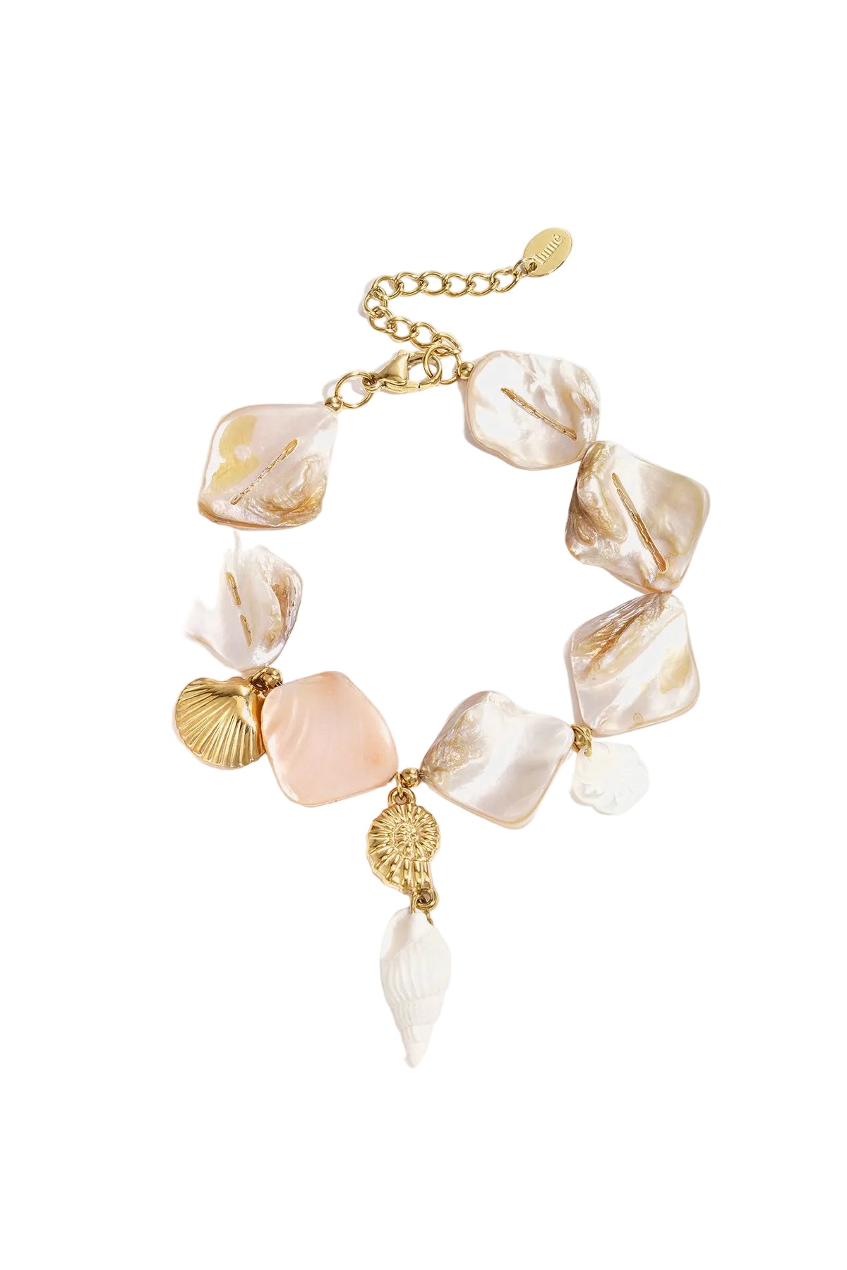 Close-up of seashell charm bracelet with gold accents and adjustable chain on white background