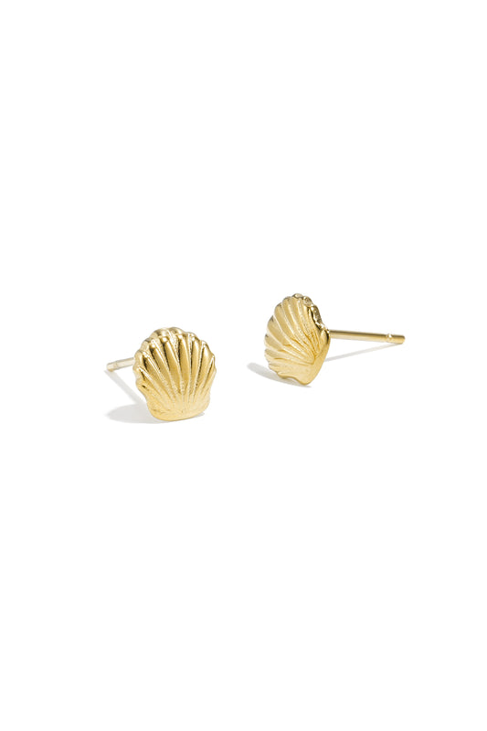 Close-up of gold shell motif stud earrings on white background