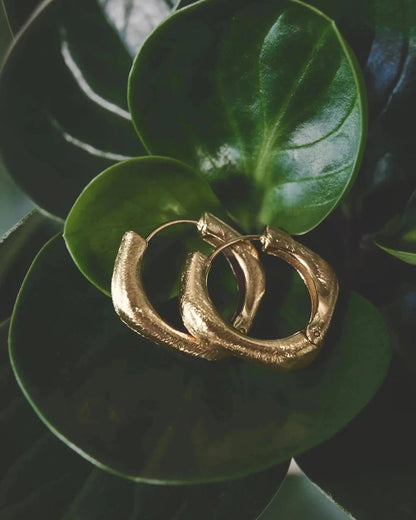 Textured gold rectangle hoop earrings resting on glossy green plant leaves.