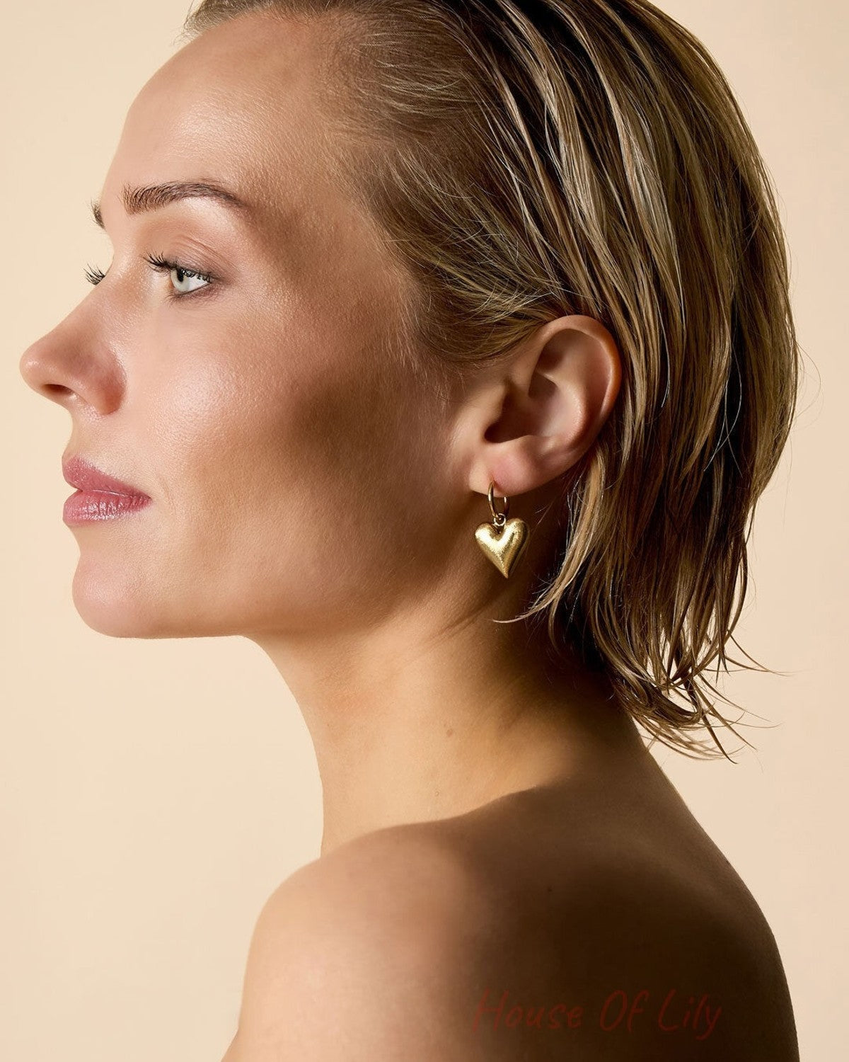 Drop Earrings Heart Casual Daily Simple Series Women's jewelry