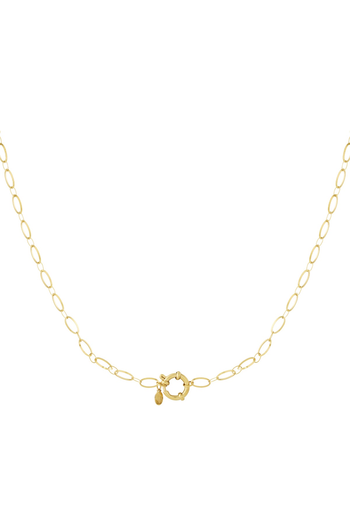 Close-up of delicate gold link necklace with round clasp on white background