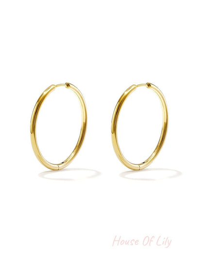 stainless steel earrings hoops small