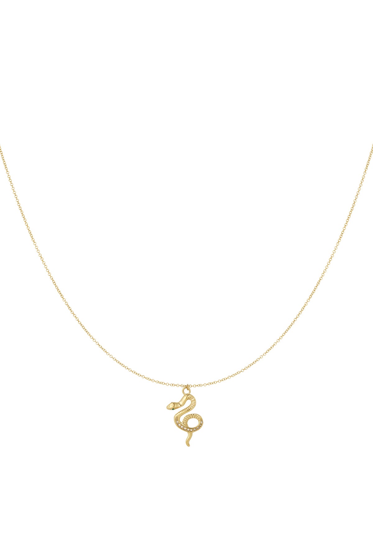 Gold snake pendant necklace on white background