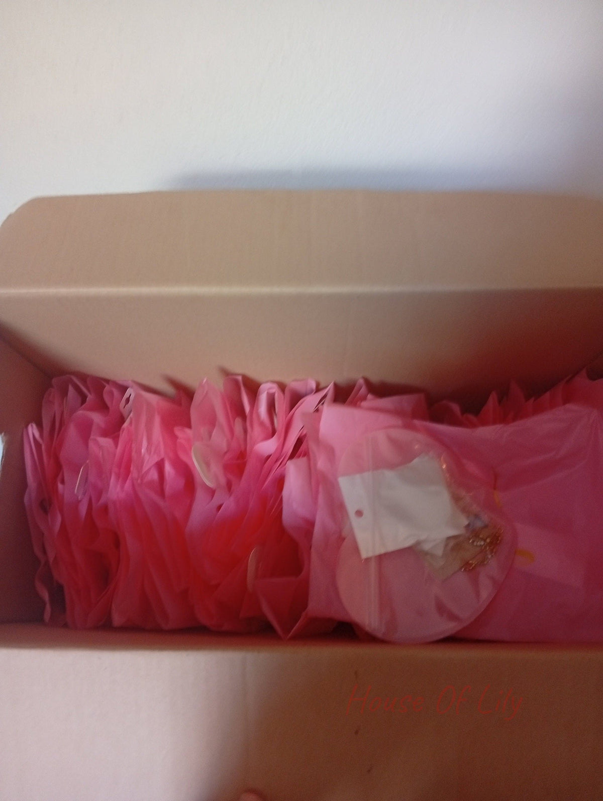 Open cardboard box filled with pink tissue paper and small bagged accessories.