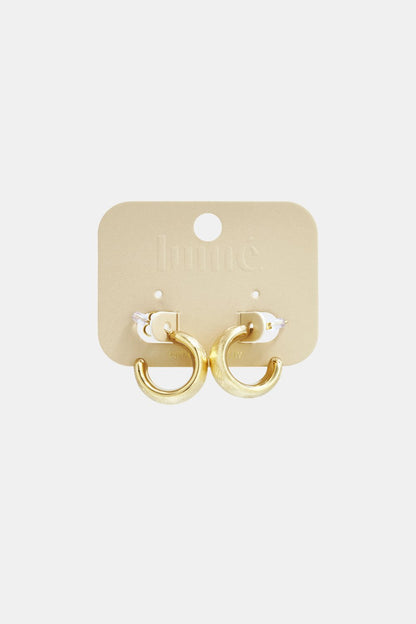 Basic Circle Hoops: Small, thick gold-tone metal hoop earrings with a brushed matte finish on a branded display card.