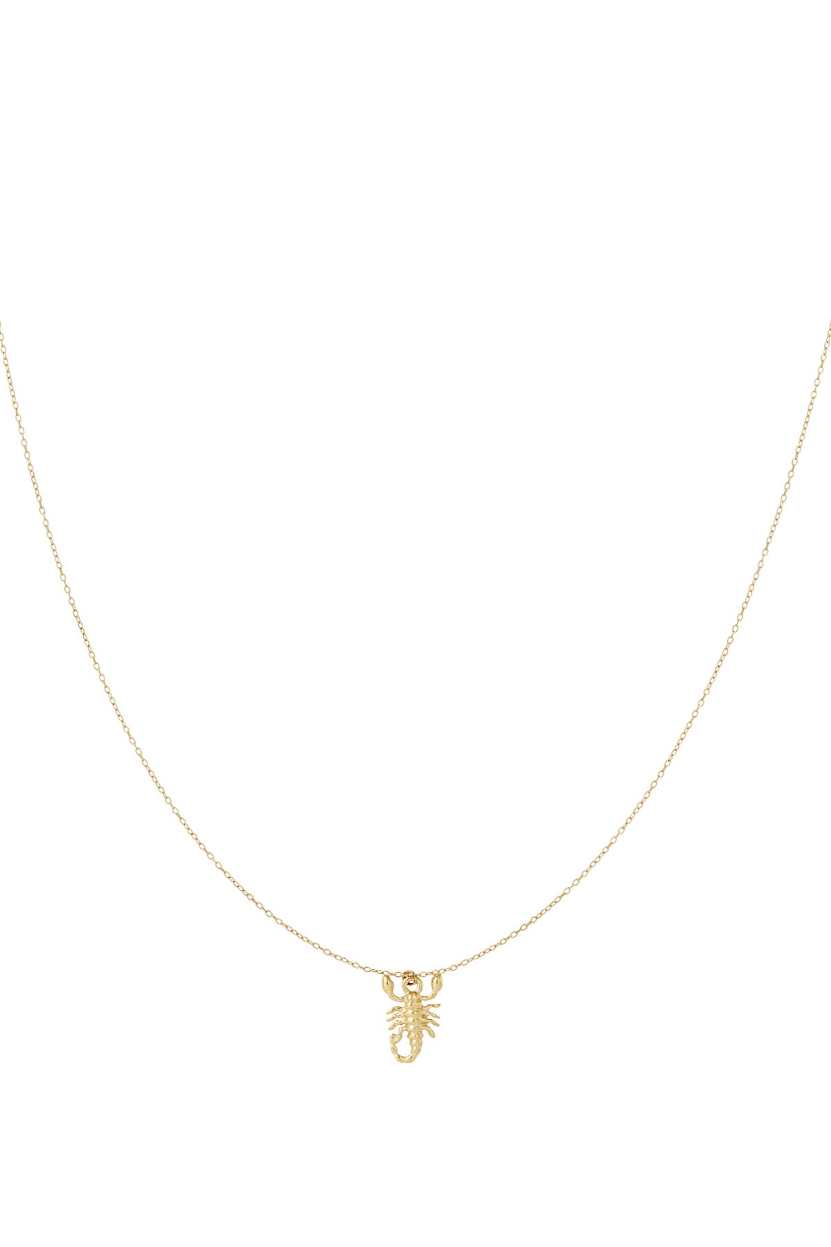 Gold Scorpio scorpion charm necklace on white background