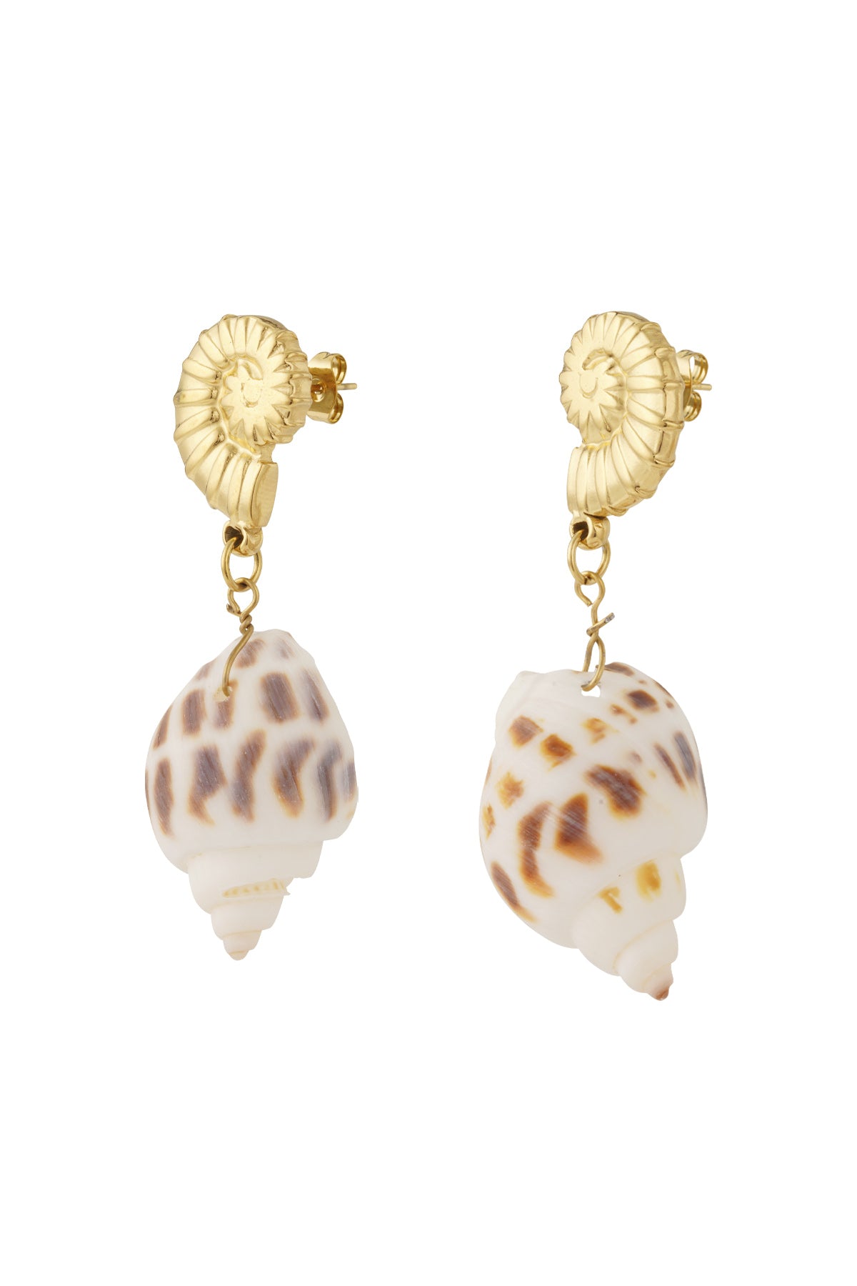 Pair of gold-plated seashell stud earrings with hanging natural spotted seashells on white background