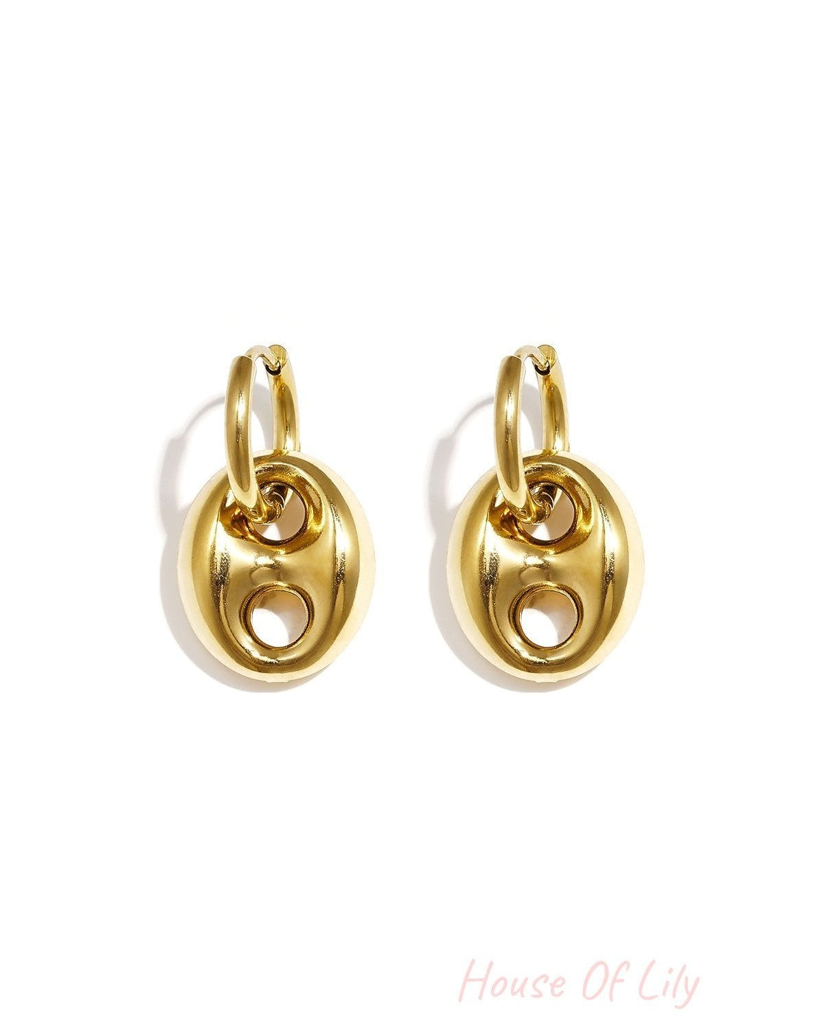 Elegant Irregular Shaped Drop Earrings for Women